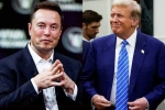 Elon Musk, Elon Musk and Donald Trump budget, elon musk s big bet on donald trump, Crypto