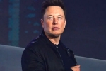 Elon Musk latest update, X, elon musk talks about cage fight again, Cage fight