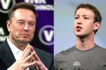 Elon Musk and Mark Zuckerberg flight, Elon Musk and Mark Zuckerberg war, elon vs zuckerberg mma fight ahead, Cage fight