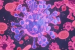HMPV Virus case records, HMPV Virus case health, first hmpv virus case detected in india s bengaluru, Bangalore