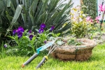 Plants that attract Snakes news, Plants that attract Snakes research, five plants that attract snakes at home, Flowers