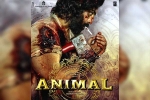Ranbir Kapoor, Ranbir Kapoor Animal latest updates, ranbir kapoor s animal updates, Arjun reddy
