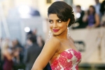 hollywood, hollywood, priyanka chopra and indian origin actress mindy kaling to star in a movie described as crazy rich asians meets my big fat greek wedding, Nsui